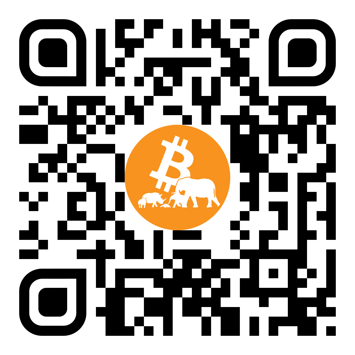 QR code – donate@bitcoininthewild.org