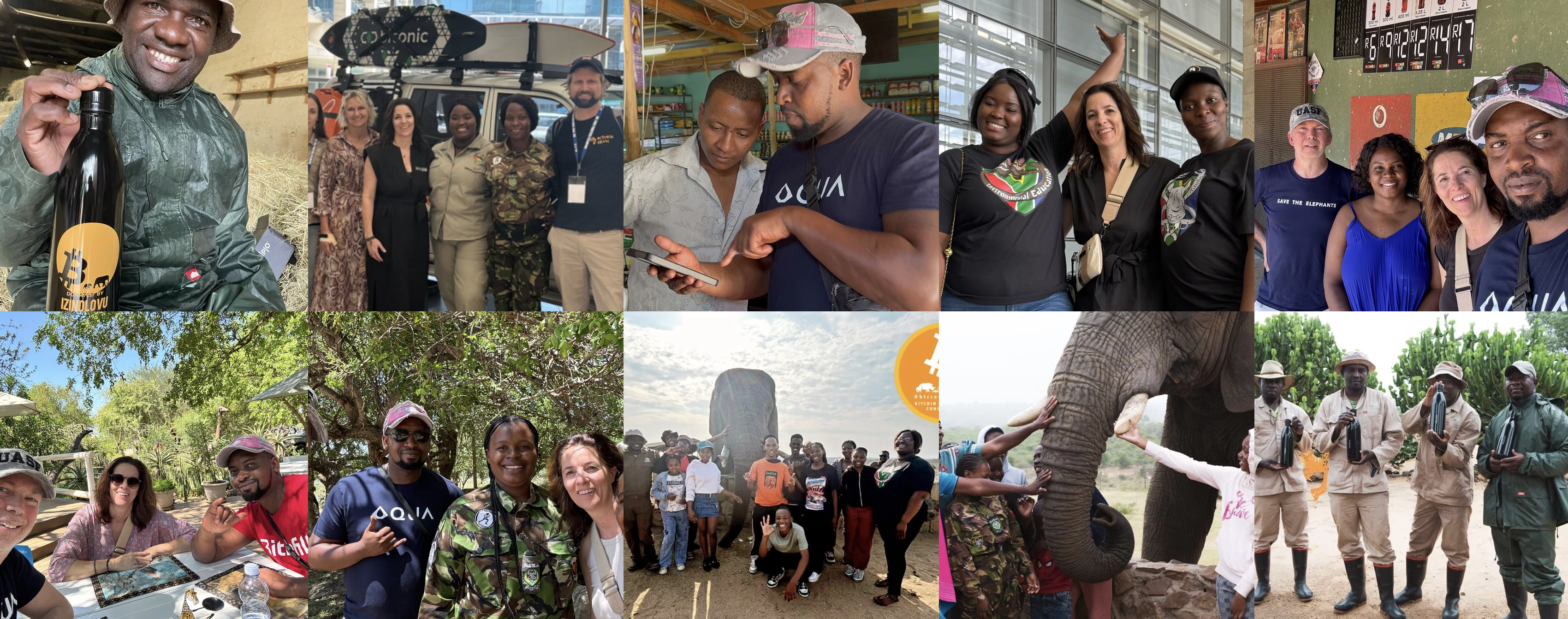 Bitcoin in the Wild – wildlife conservation initiative