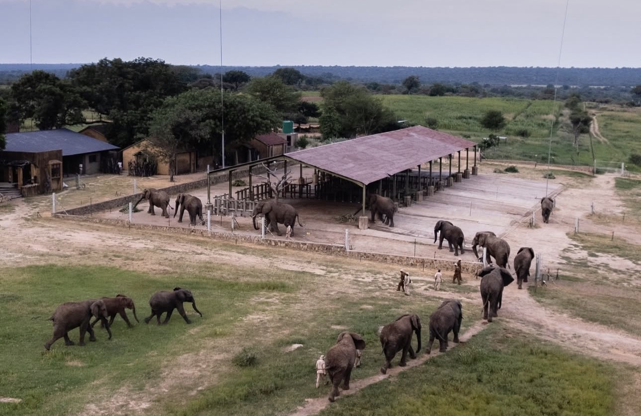 Drone technology supporting conservation